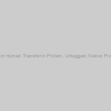 Image of Recombinant Human Transferrin Protein, Untagged, Native Protein-100mg